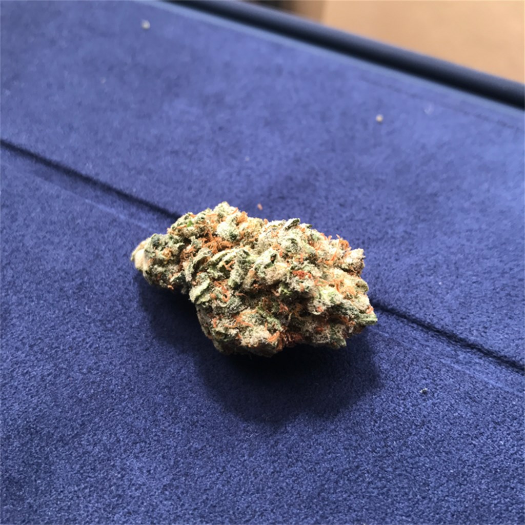 Foto de la variedad Willy Wonka