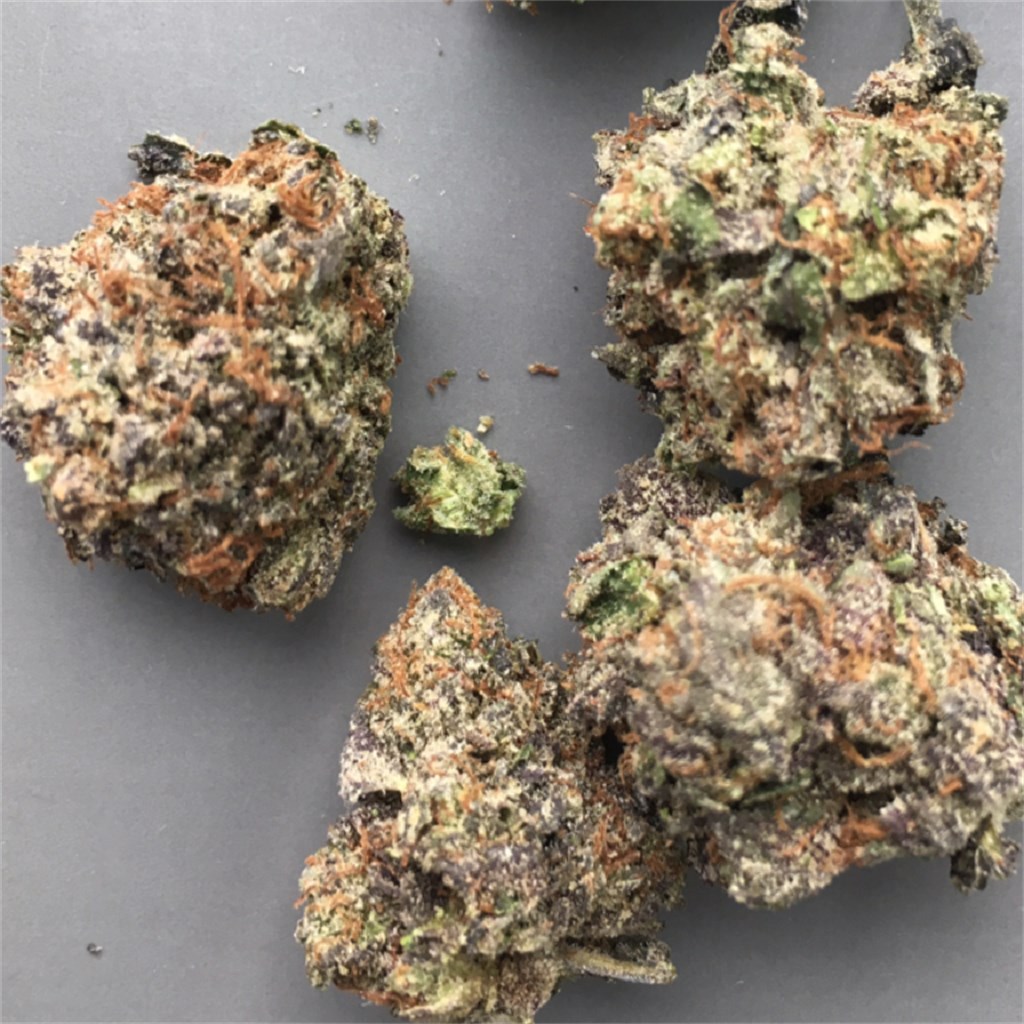 Foto de la variedad WMD