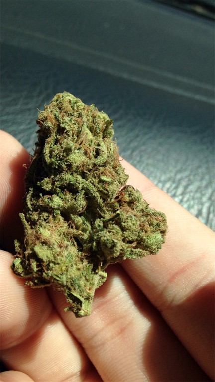Wonka's Bubblicious