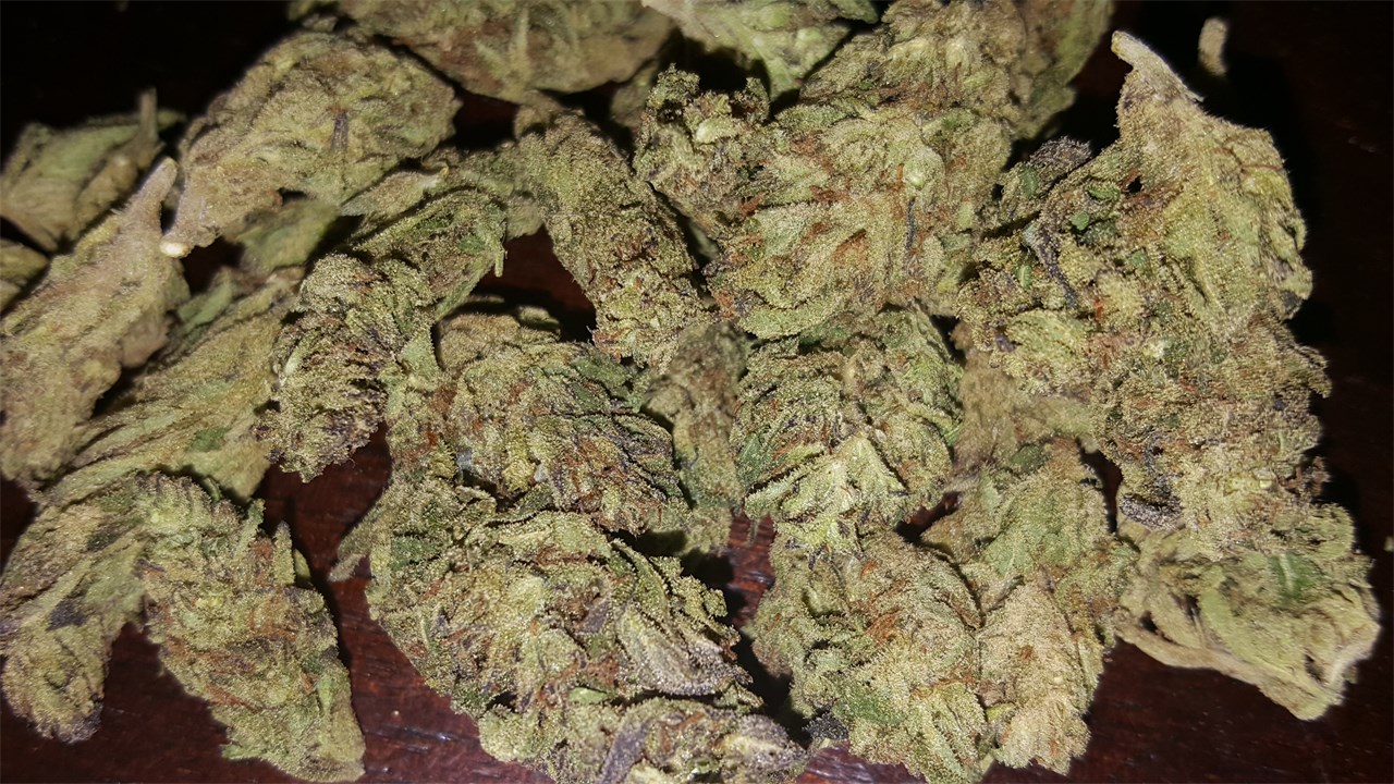 Yeti OG