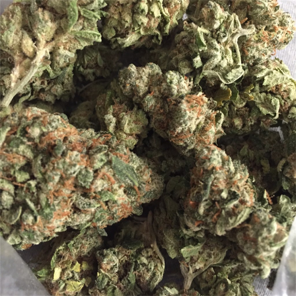 Headband BX