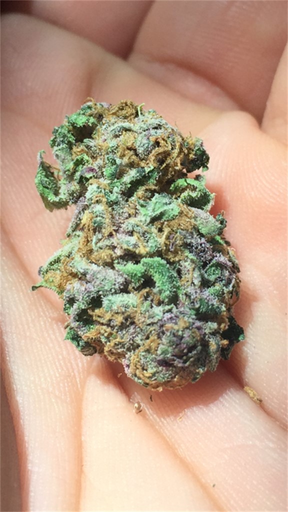 Yummy