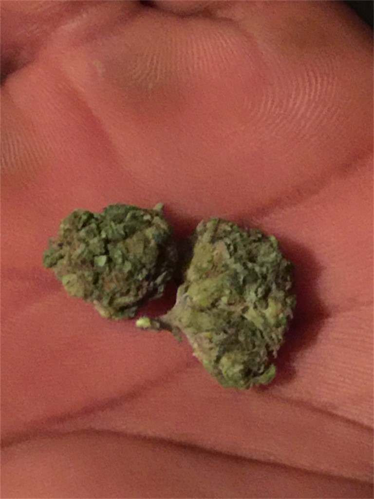 Foto de la variedad Yummy