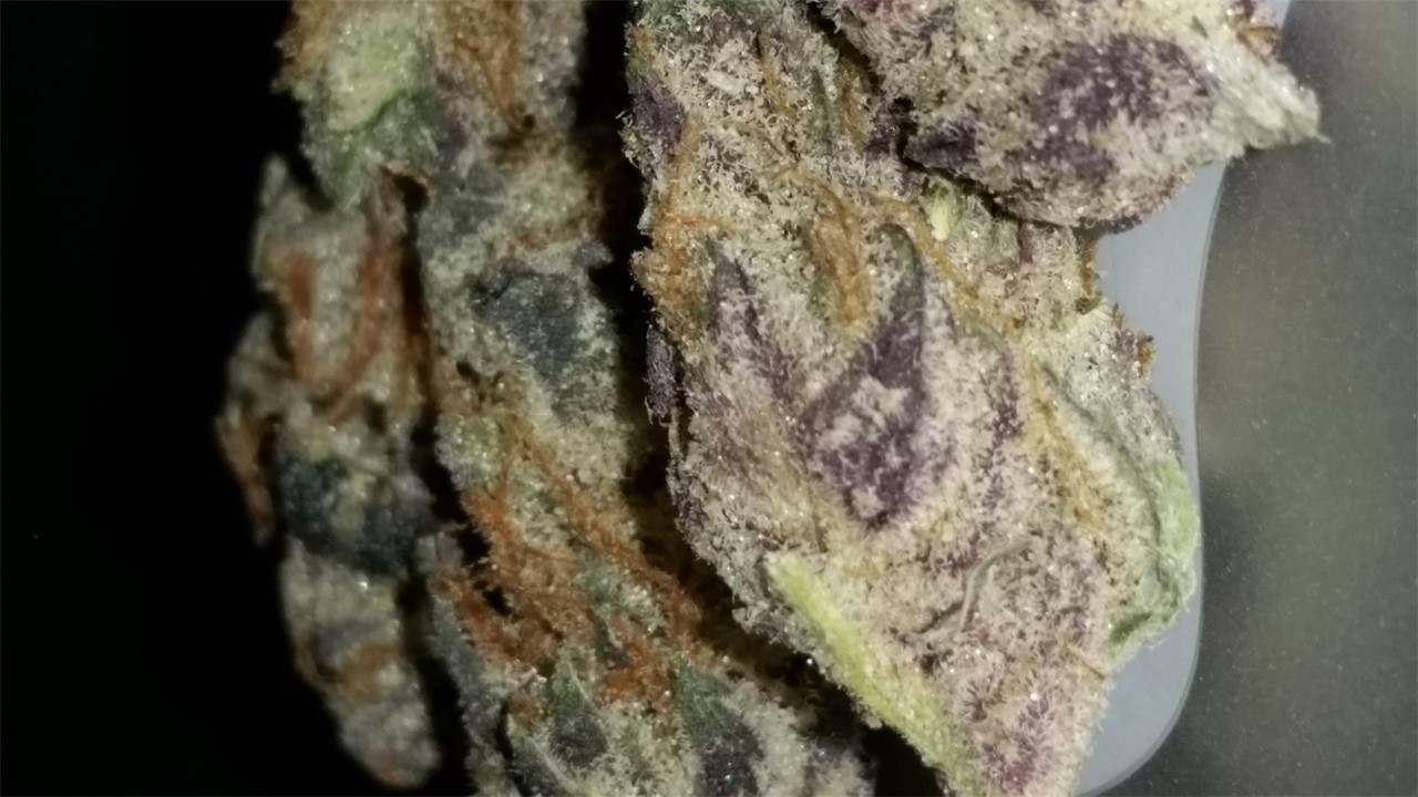 Zen