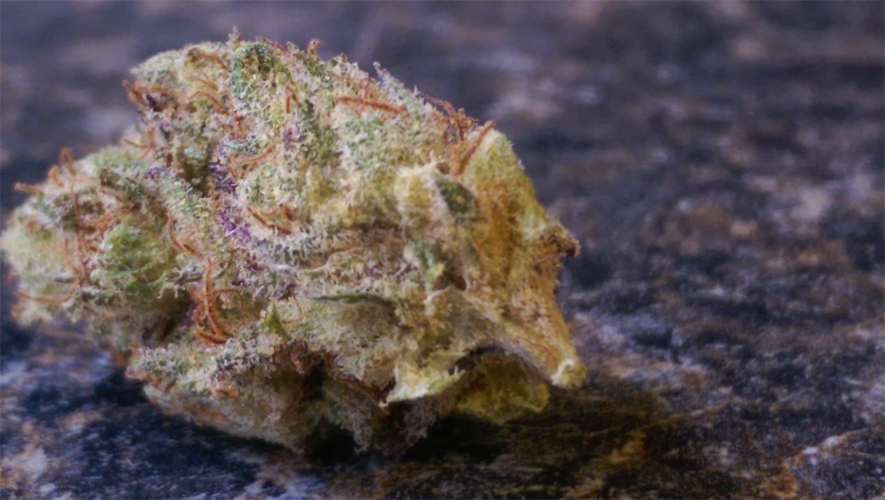 Zeus Og