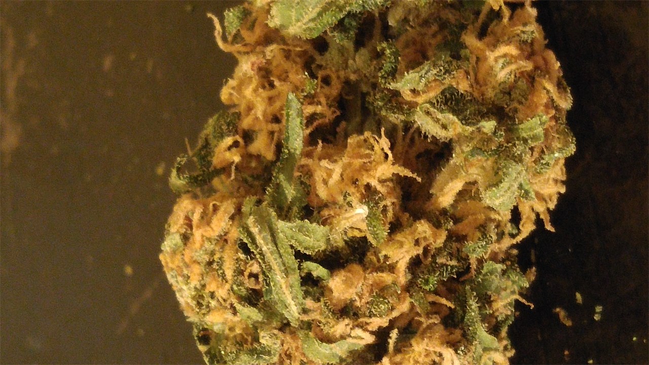Zkittlez